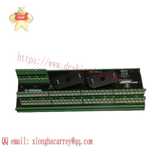 Moore 16169-1-07 SAM Standard Analog Module: Precision Control at Your Fingertips