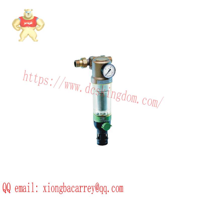 BRAUKMANN F76CS-1AA: Advanced Reverse Rinsing Filters for Industrial Applications