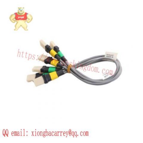 Honeywell FS-IOBUS-CPIO4 - IO Bus Connecting Controller Chassis to IO Chassis
