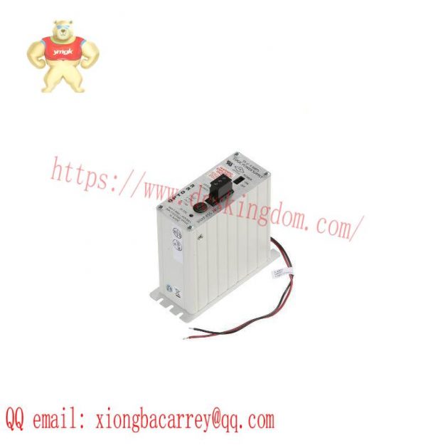 LUDLUM 2401-P Radiation Monitor for Industrial Applications