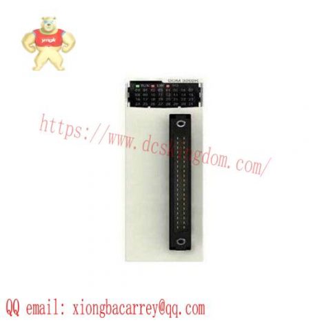 Schneider Modicon X80 BMXDDM3202K Discrete Mixed IO Module
