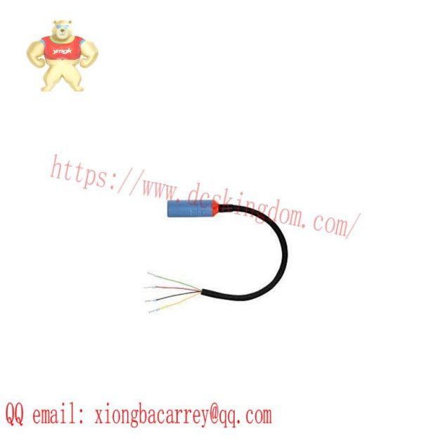E+H CYK10-G101 Digital Measuring Cable - Precision Measurement Solution for Industrial Automation