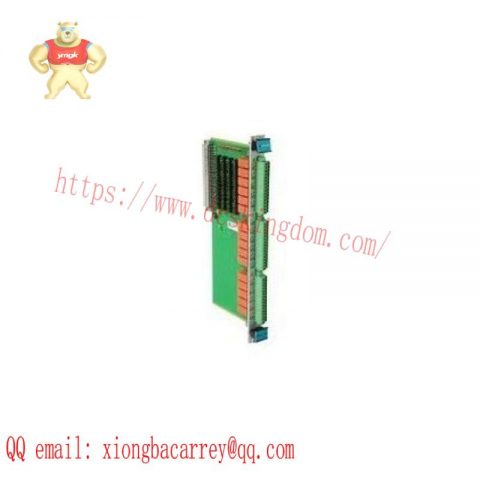 Vibro-Meter VM600 200-595-067-114 Monitoring Module